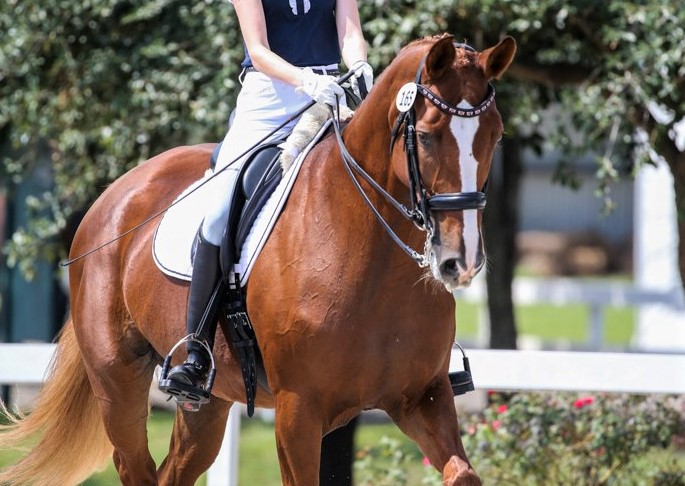 72900800_2502891213128354_6341552730468777984_o (2)