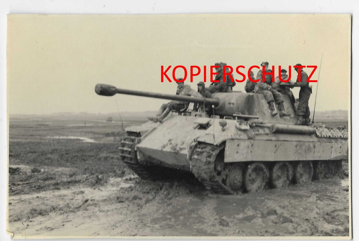Orig. Foto Panzer Panther Tiger Seitenschürze Balkenkreuz Langrohr Grenadiere