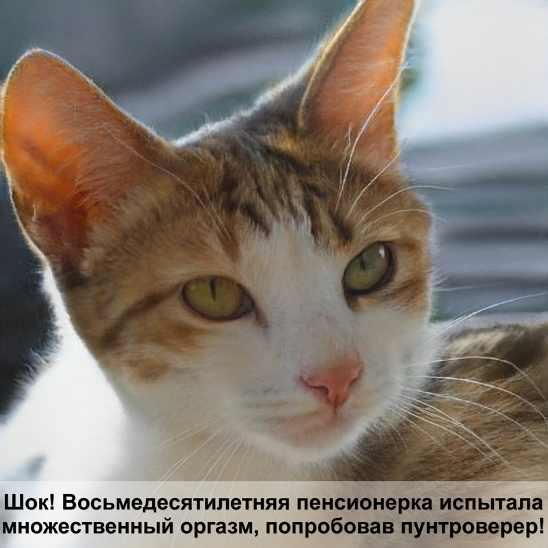 шампунь от блох для кошек