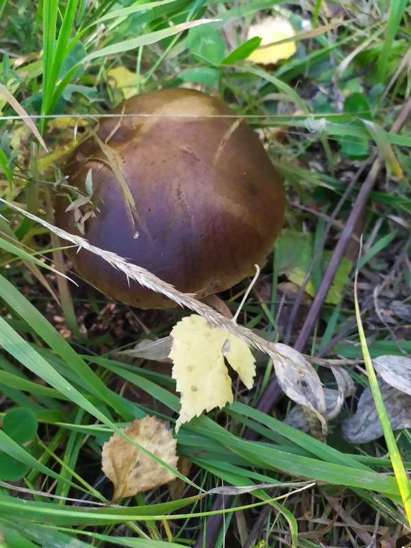 IMG-e04ee31ef09ccb47ddaa40798b9a8c3e-V