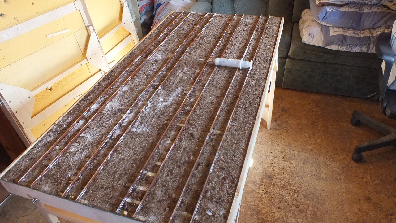 Ronald`s Bahnhof (5)