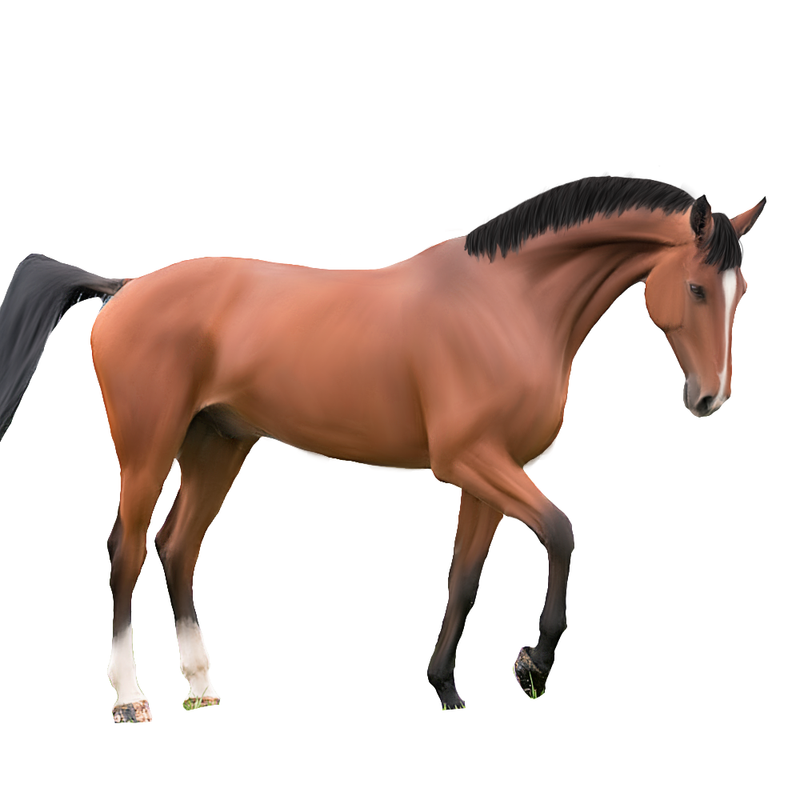 34007186-DDD4-4596-9708-ABCF9079E5DB