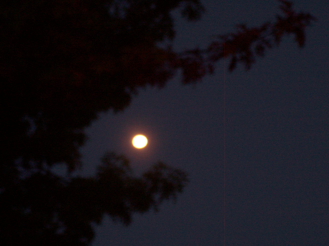 Harvest moon 2 days later 003