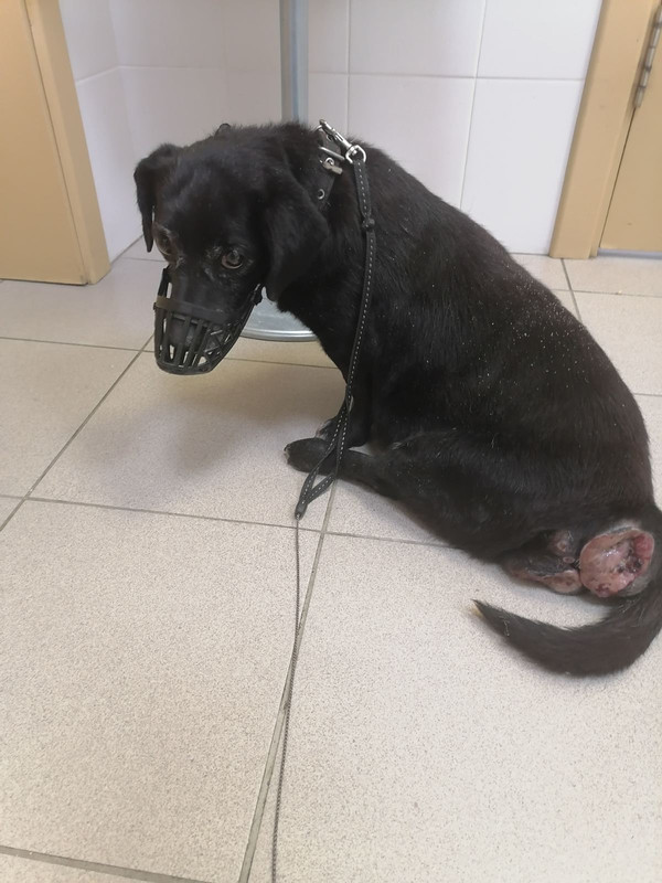 1BBBD2EC-ADF0-4BE1-97A9-FACA18346A1B