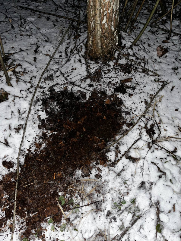 IMG 20251123 171821 739