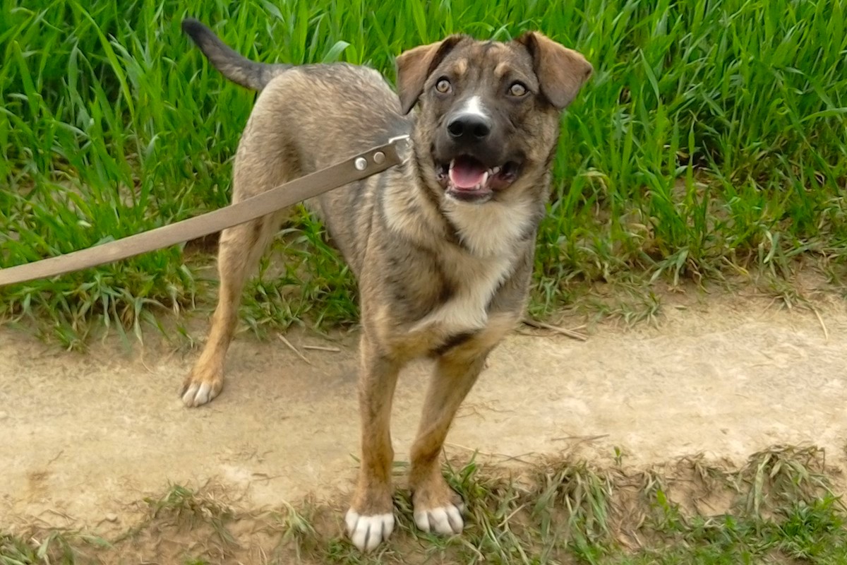 IMG_20190525_120606E