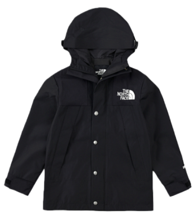 The North Face Jacket