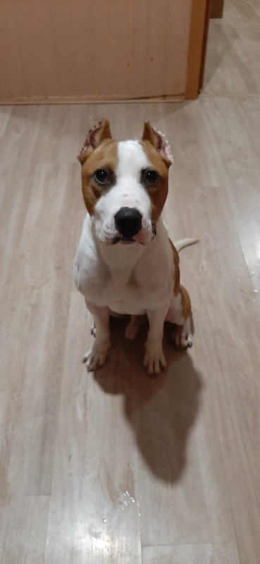 B0A95CC9-2C22-4C5B-A9CD-254C791490EE