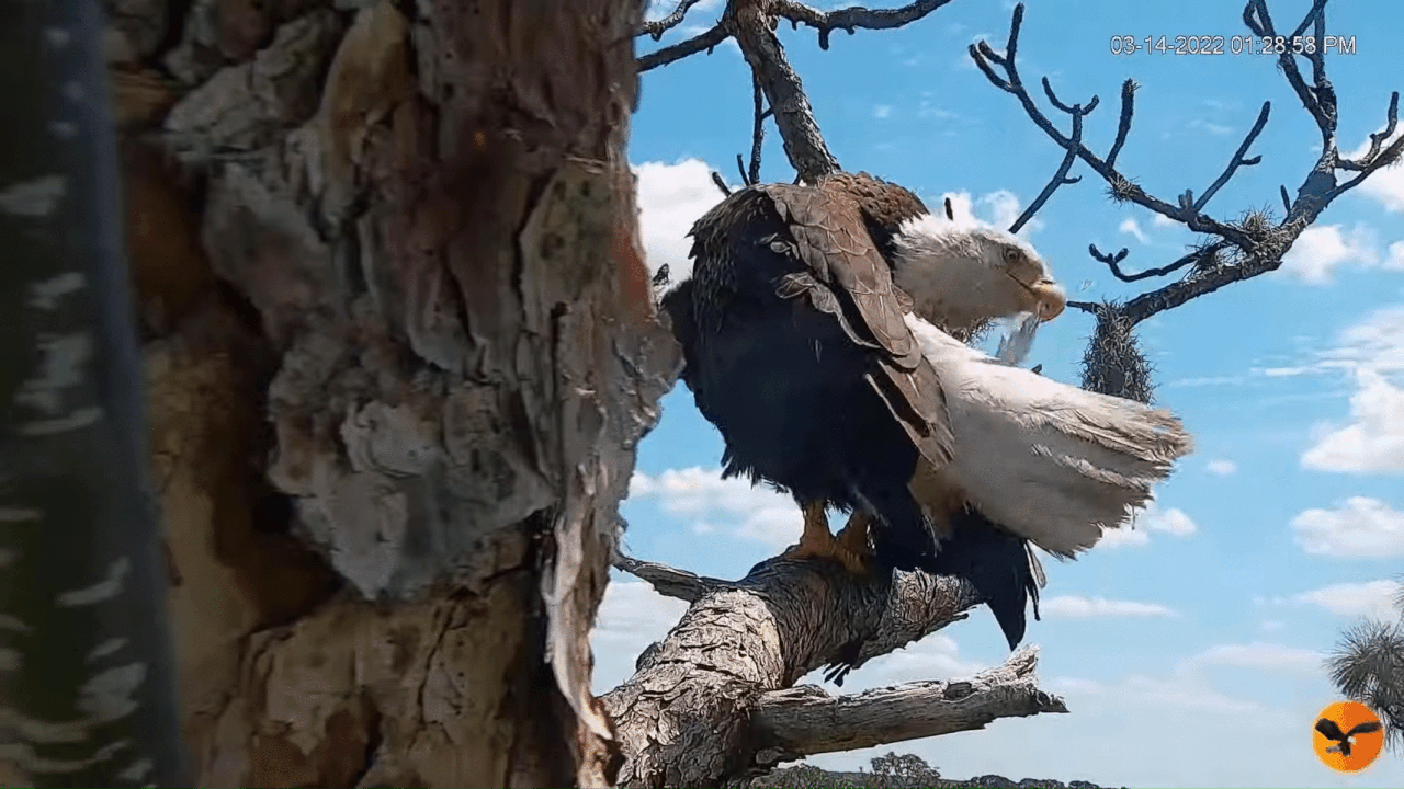 Webp.net-gifmaker (2)