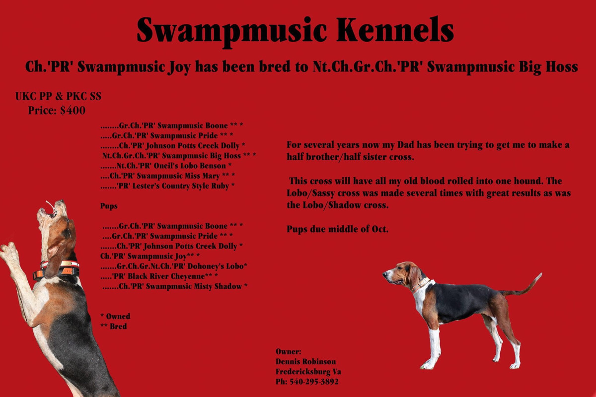 5894489C-9678-4DE6-A442-ED9552ECBD9B