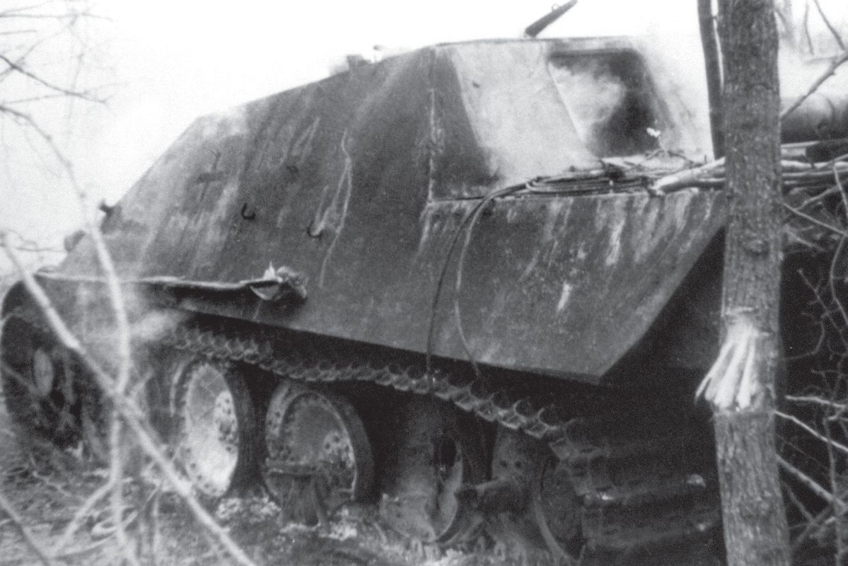 shwere panzer-jager abteilung 654 (4)