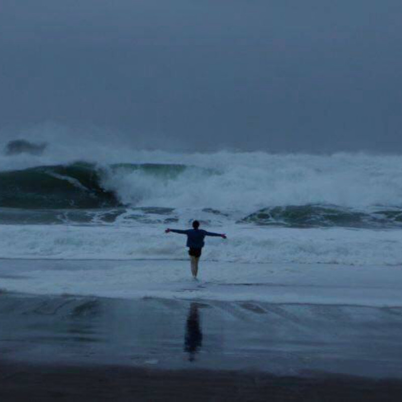 Cover of The Silence