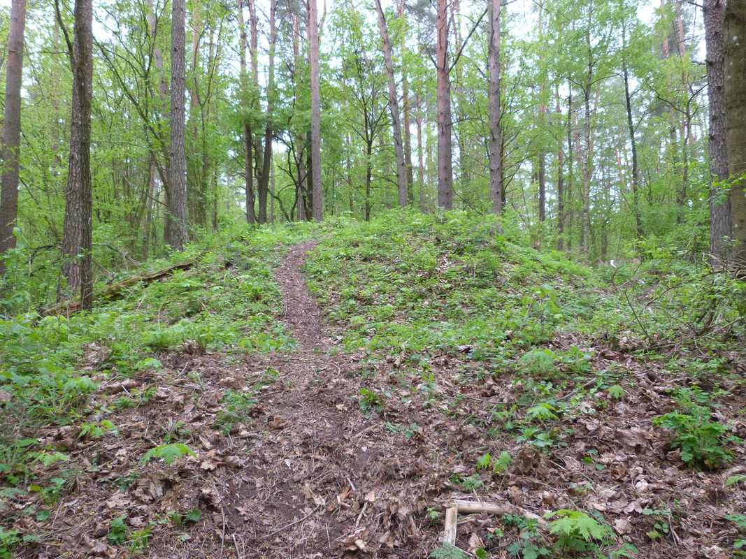 13.07 - P1110050 (Yvonne)