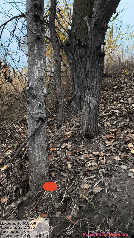 photo 3 2025 11 09 11 28 03