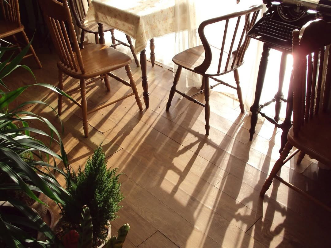 photo 16 2026 01 03 21 19 51