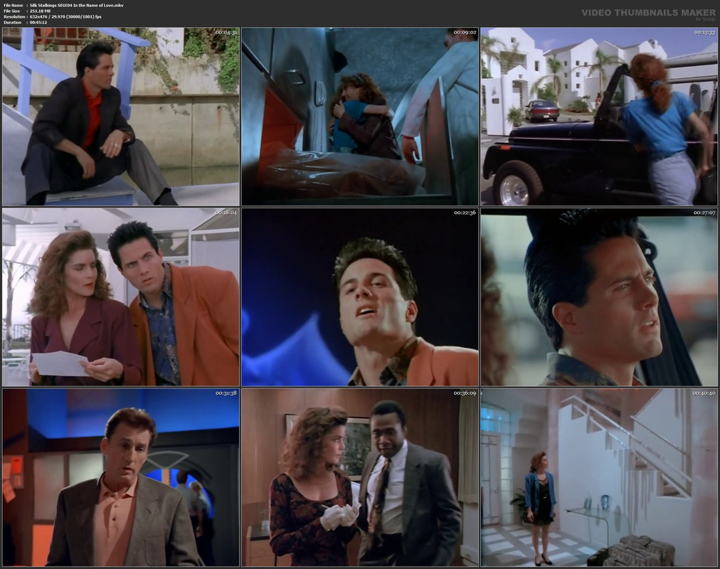 Silk Stalkings S01E04 In the Name of Love.mkv