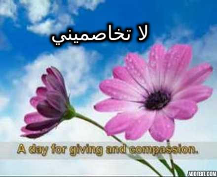 ���� ���� ������ �� ���� ������