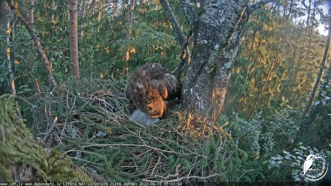 Webp.net-gifmaker (11)