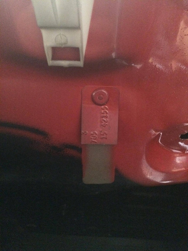 12768039_10208991118960245_736221638_o