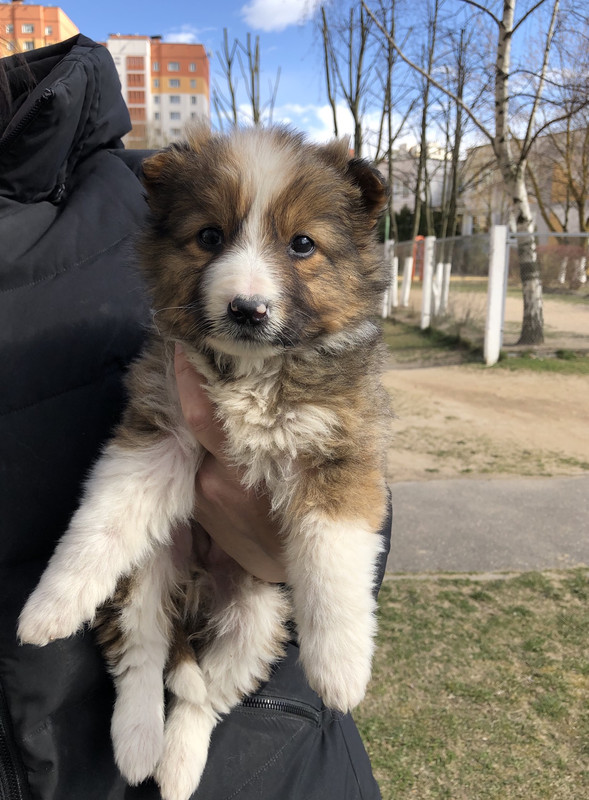 8BC537C6-CF48-4176-8504-EEA0F24D7915