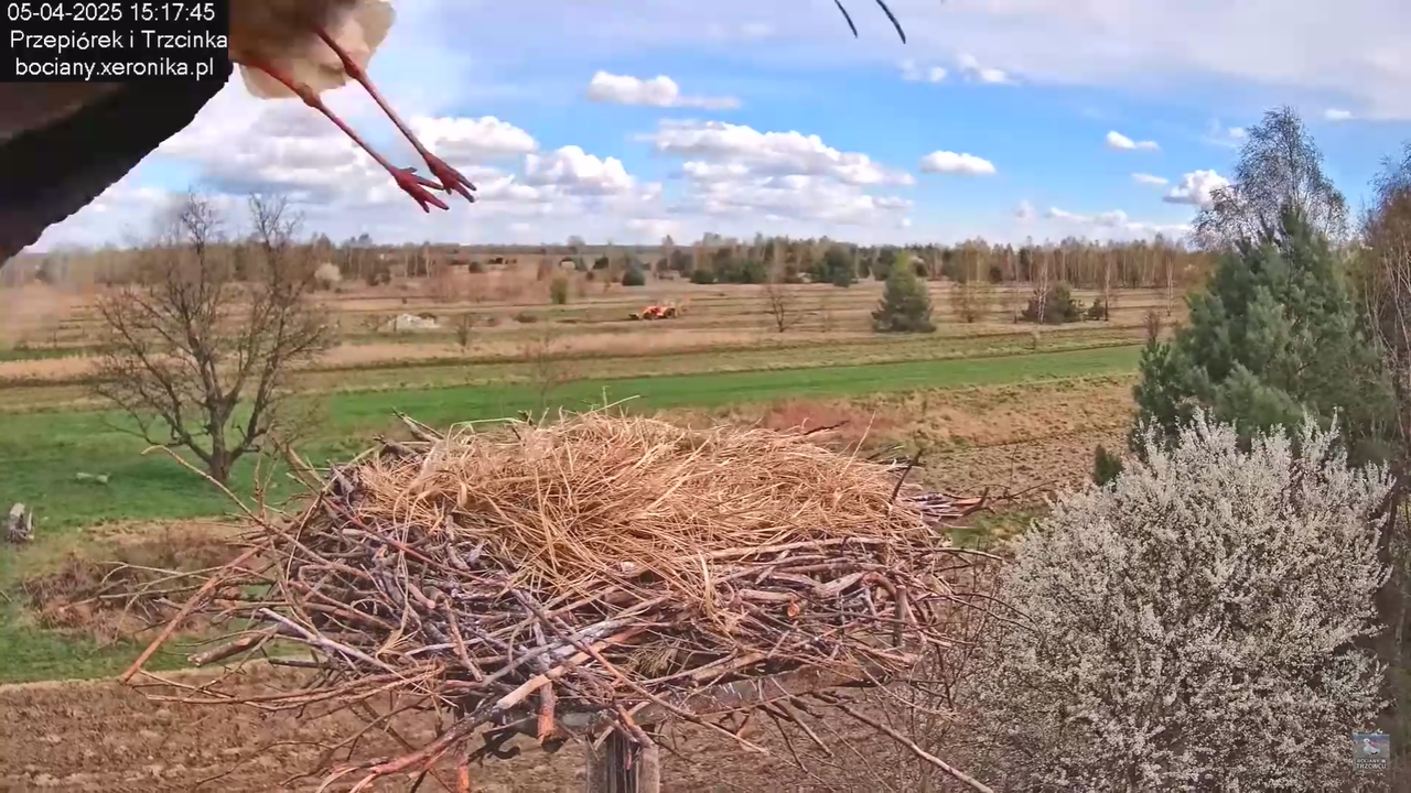 05042025paresekundwgniezdzie_24