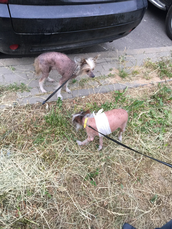 2185595D-3C03-4D4A-AEC1-08E80D0AC22E