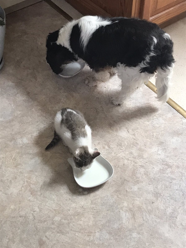 6CE9F5E6-497D-4005-9B92-7E2730B484E3