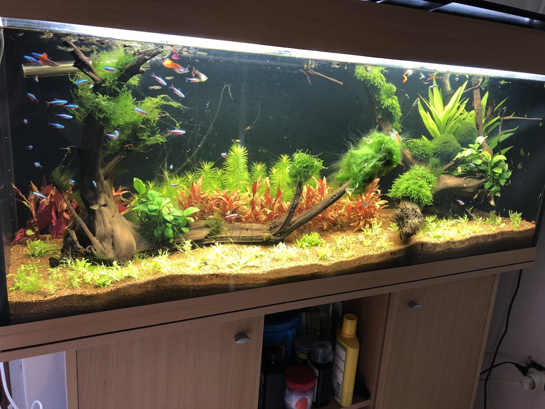 05AFD348-FB6E-468A-B465-8A47CDF467C6