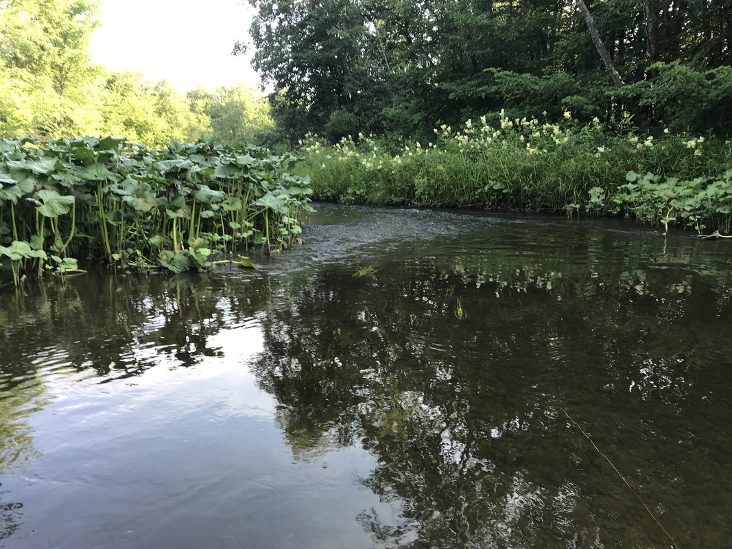 CBFE48F1-C396-44B1-AB9D-9602D6900811