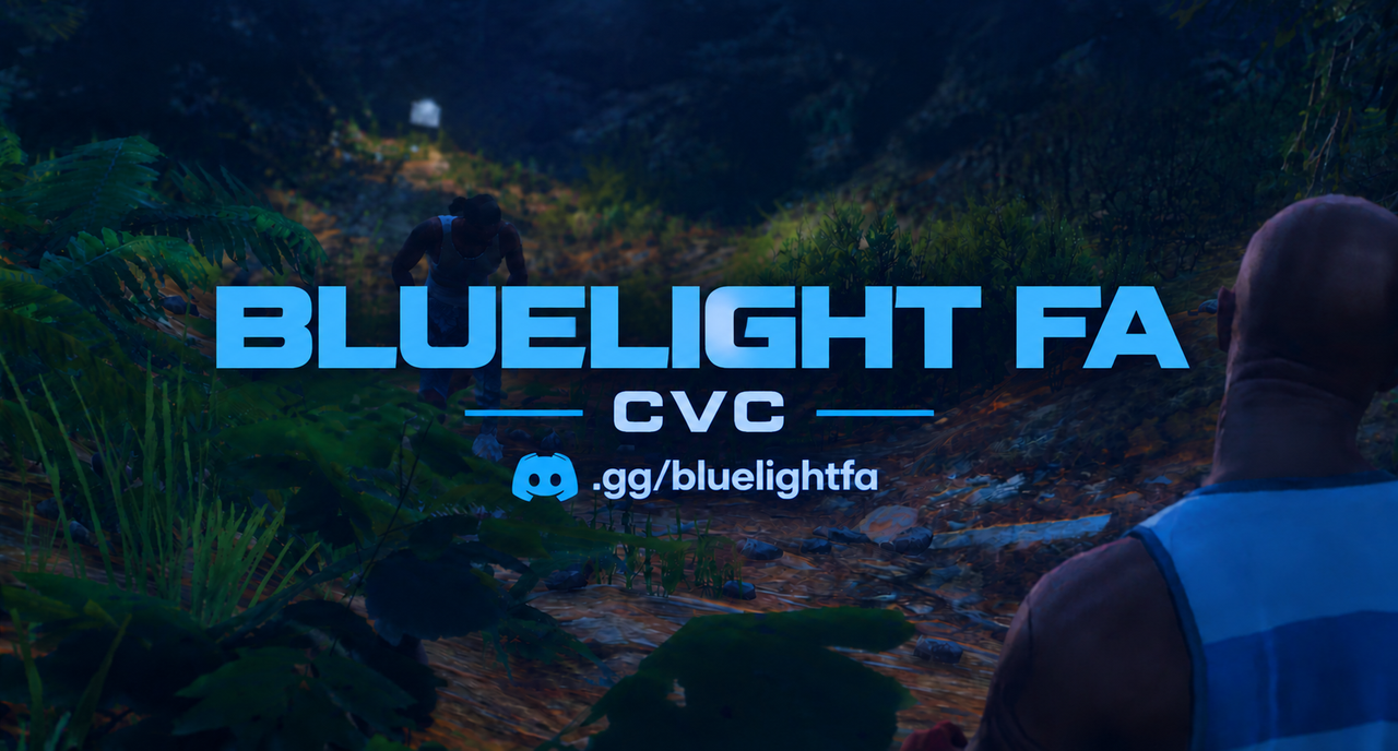 Server details BlueLight FA