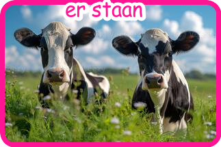5mei