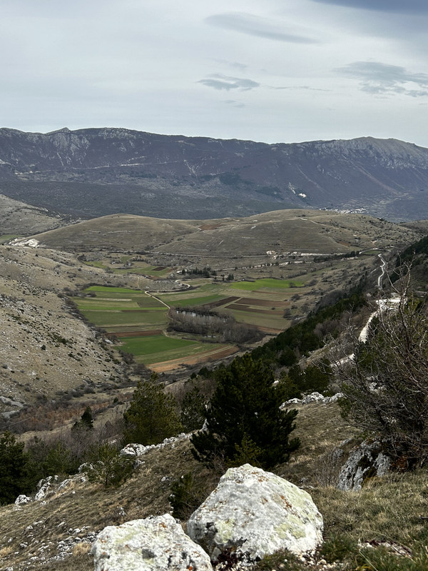 715735E6-683C-419E-AD43-F18C22D087D3