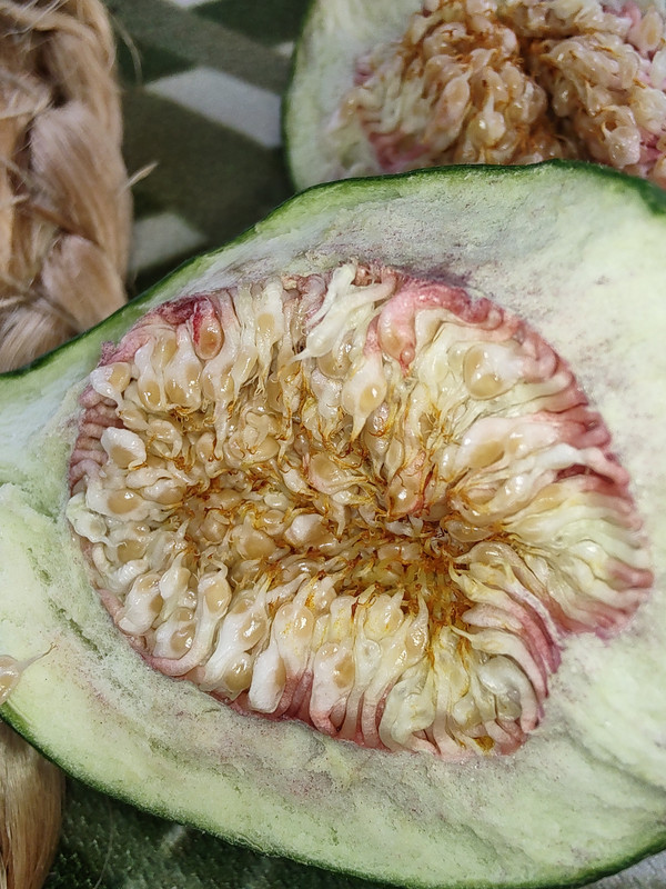 IMG_20230610_191404569