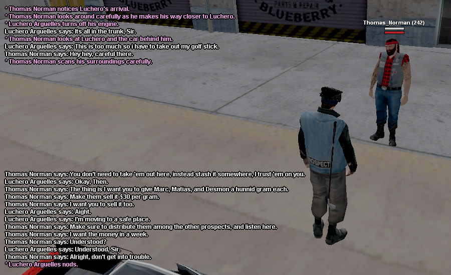 ss13.png