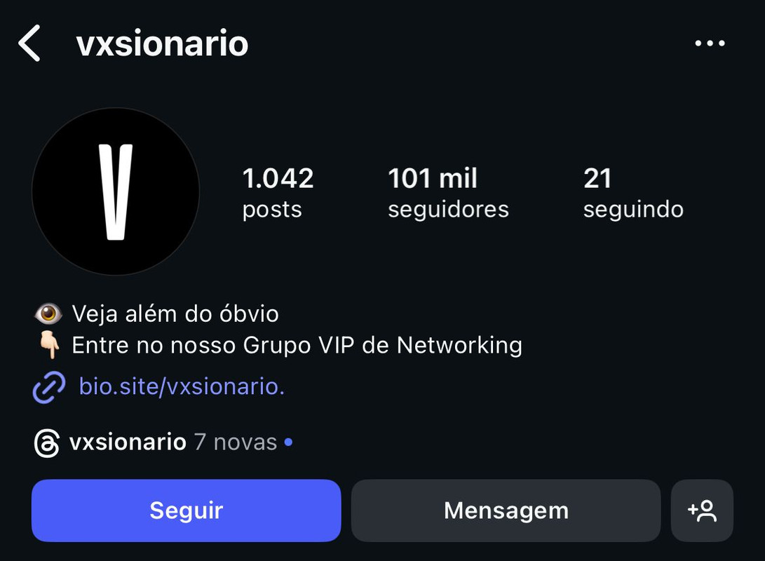 Instagram profile preview 6