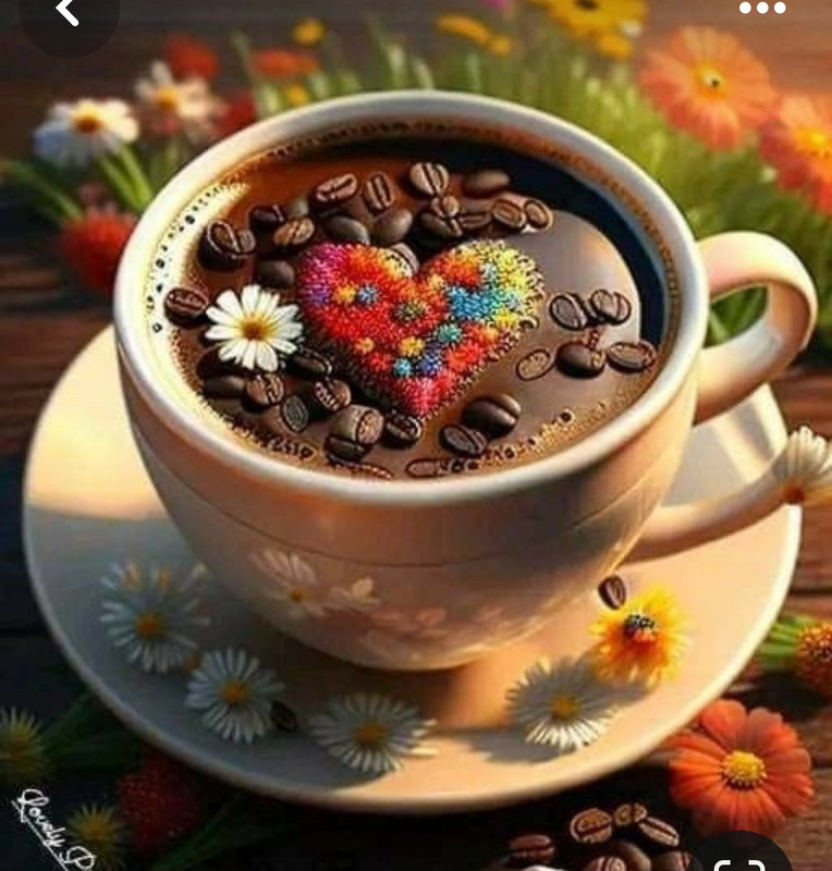 Screenshot_20240414_132802_Pinterest