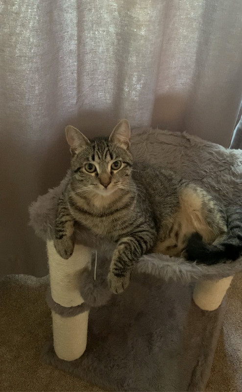 7B4BCE29-232E-4C62-BBA0-F35167AF1613