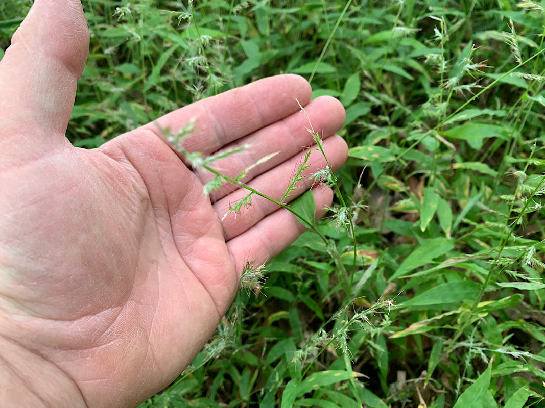 DED163BE-EC91-4679-94A2-2CEB6AD56BE6