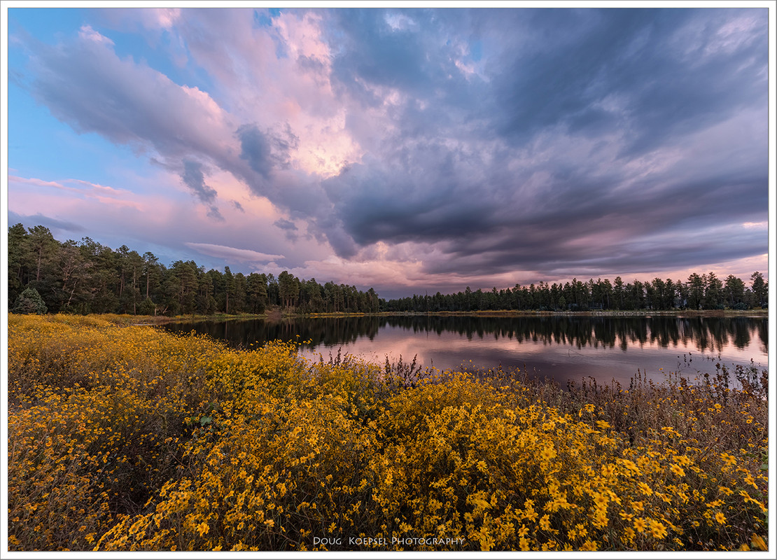 Ed1400FB-5x7TopazNik_DSC7623 copy