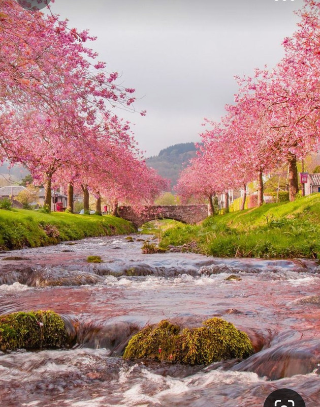 Screenshot_20231014_215807_Pinterest