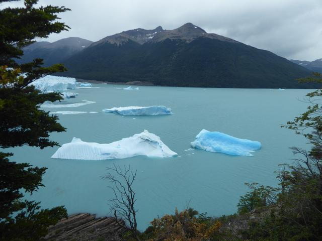 VISITA GLACIAR PERITO MORENO. - ARGENTINA INFINITA II/ TORRES DEL PAINE (16)