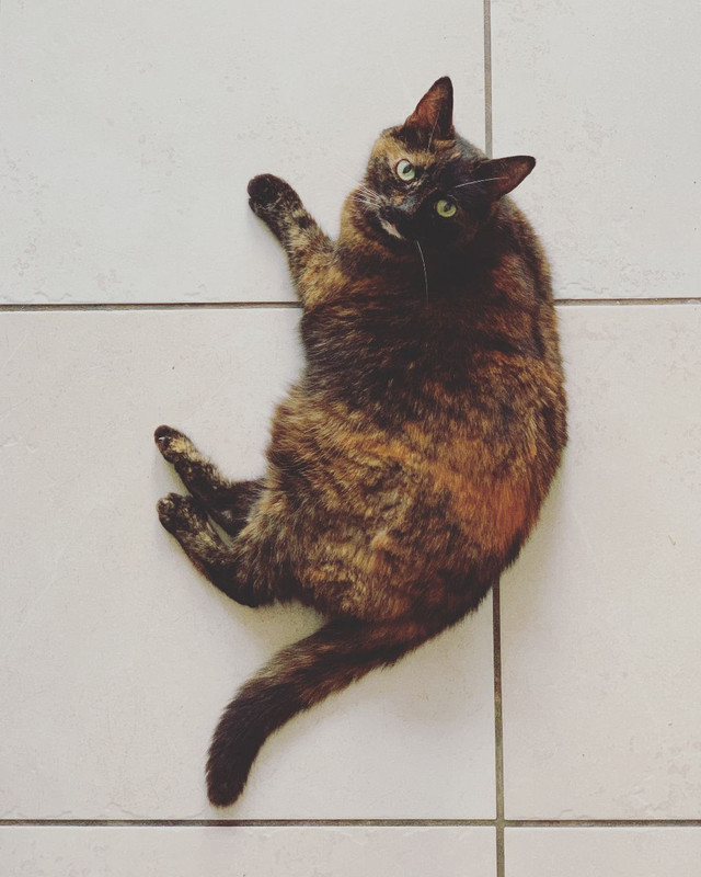 [Image: Sally-Apr-2019.jpg]