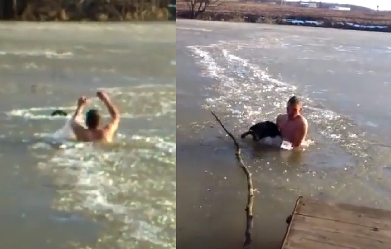 Hombre ruso se hace viral, nadó en un lago congelado y rescató a un perro: video