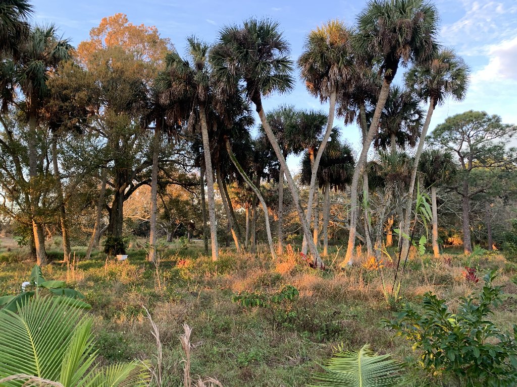 0437015D-B4C4-4B6C-ACDC-B28E5EE0E500