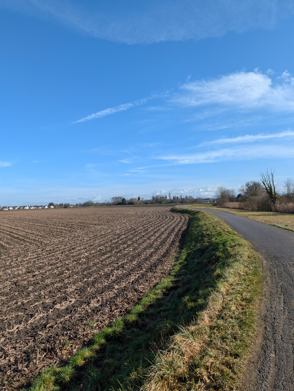 PXL 20260207 105648559