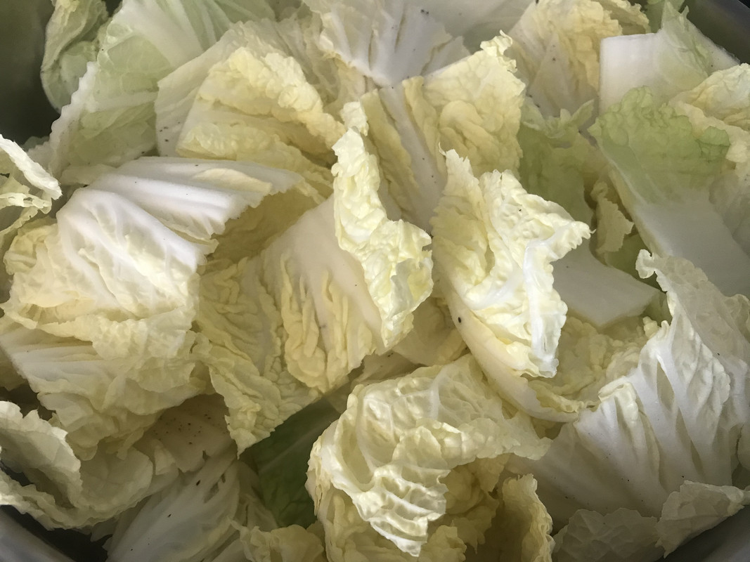 8C88F652-0613-4508-8E89-D0A5B15D4718