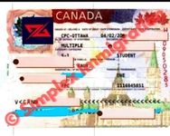 Client Visa Success Story 8