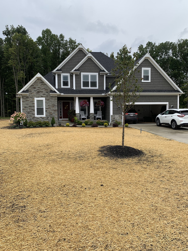 Rp zu5XbSUeLWQJWVuZ0eg