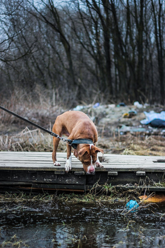 без имени-0525