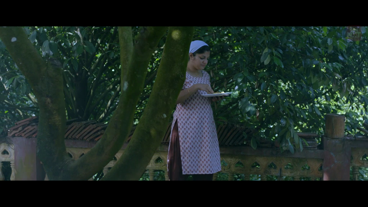 vlcsnap 2026 02 11 15h44m10s765